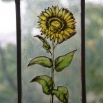 sunflower -nursery sobczak-
